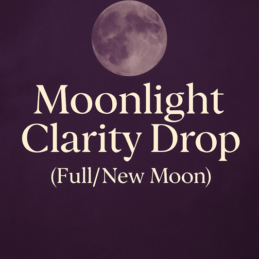 Moonlight Clarity Drop l New Moon Full Moon Reading The Rising Sun 723
